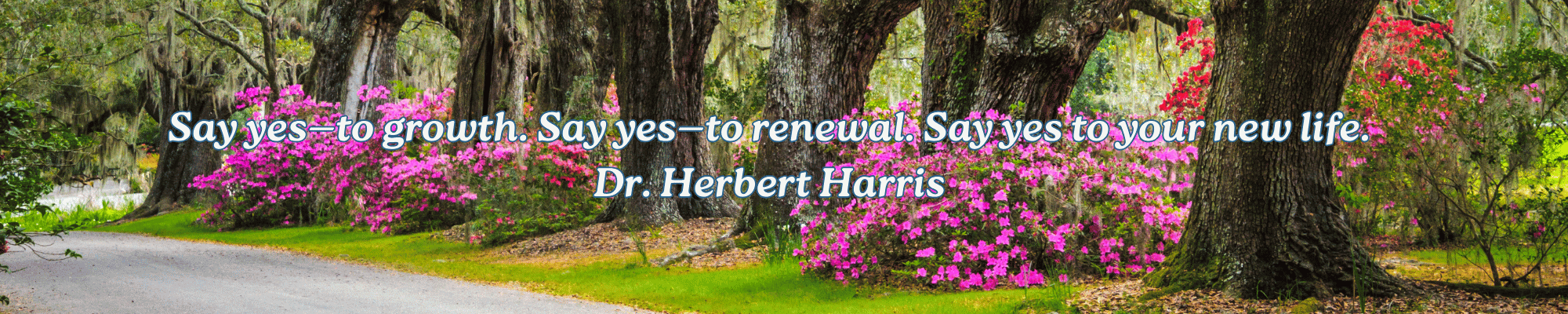 Spring Azaleas background with affirmation and Dr. Herbert Harris